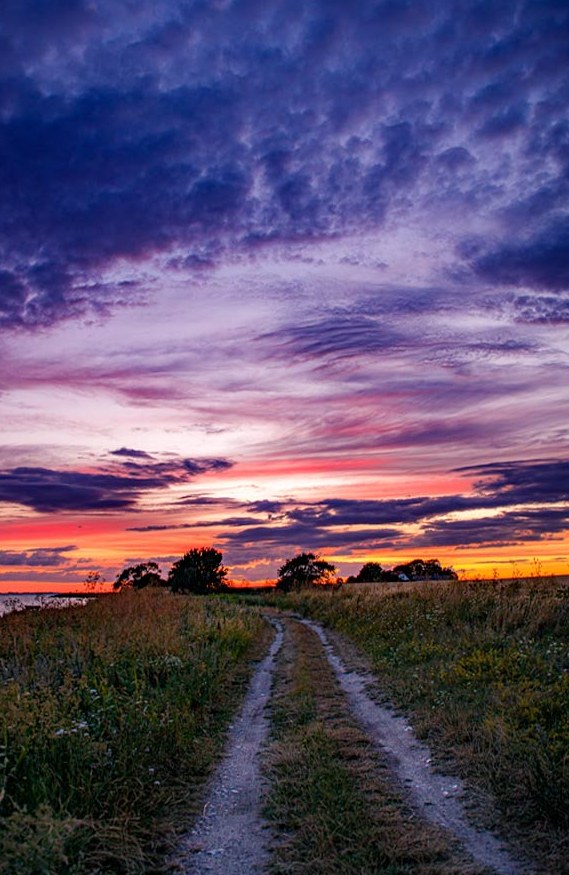 Aftensol over Falster