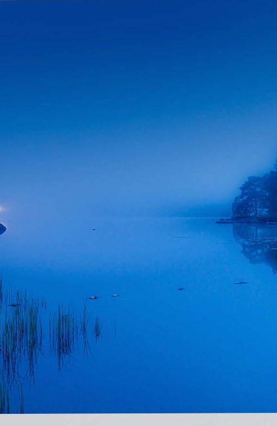 Svensk skov sø